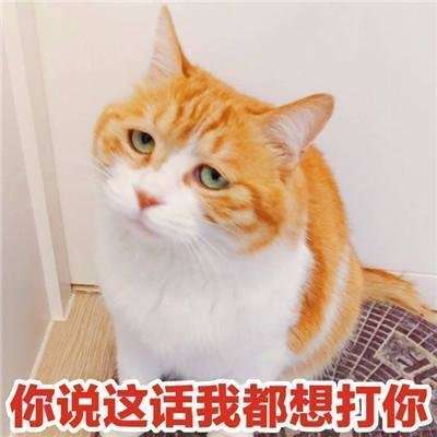 抖音小哥哥聊天吗表情包大全一言不合就开撩