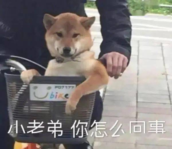 无内鬼,抓紧收图