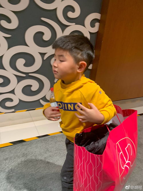 胡可把两个儿子当壮劳力使唤,这个妈妈太优秀