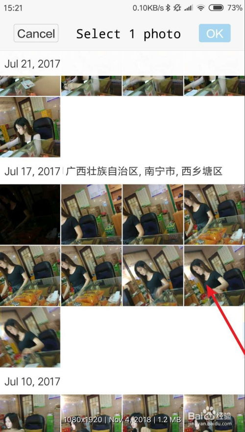 手机打字表情包司凤