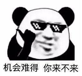 日常沙雕熊猫头表情
