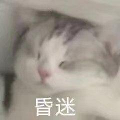 刚睡醒的表情包表情包