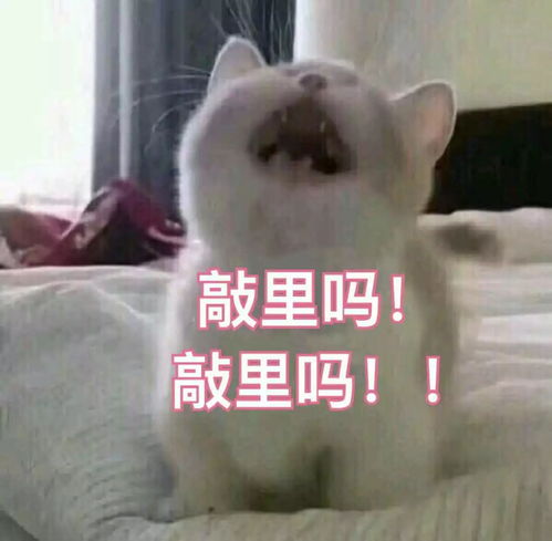 超有质感的大衣小而美的设计,简单不做作bf风风衣