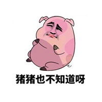 抖音整人猪猪表情包微信头像图片大全