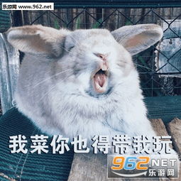 你能换个游戏玩吗谢谢兔子表情包你去单排求你了菜逼表情包下载乐游网游戏下载