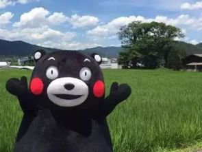 看完日本的吉祥物,我不得不佩服日本人民的创造力