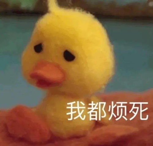 各种表情包大全集搞笑开心一笑