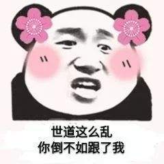 表情包网友的肯定