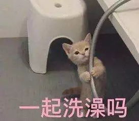 原来洗澡是有正确顺序的,先洗头还是先洗脸很多人都做错了