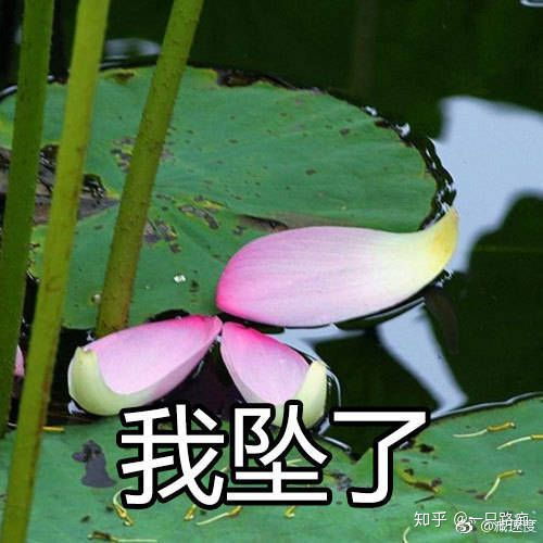 你用过哪些成套的表情包