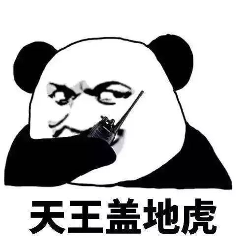 实不相瞒,我怀孕了