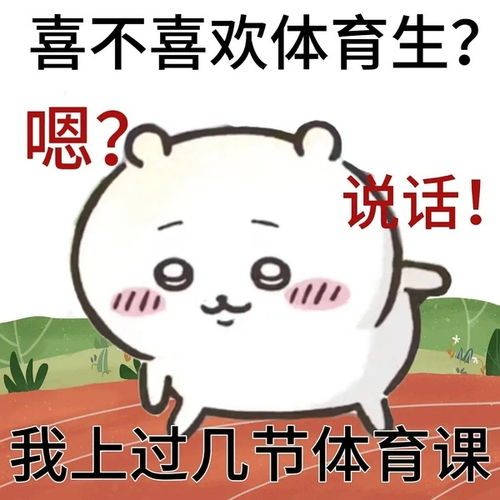 最近很火的表情包猫开学