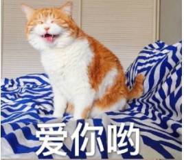 胡冰卿撞脸赵丽颖,倪妮装肤白被质疑,而baby竟靠这个成为全场焦点
