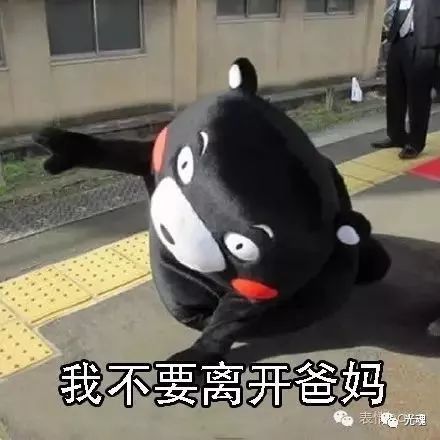 我怎么这么能干表情包不醉