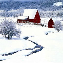 下雪天好看的风景头像大全高清漫天飞舞的洁白大雪风景头像