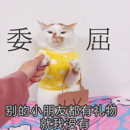 发表情表情包大全微信表情包qq表情包fabiaoqing.com