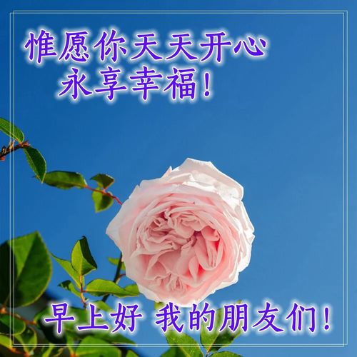 早上好问候语大全早安语录心情好的句子早上好表情包