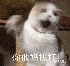 在嘉兴学院就读是怎样的体验
