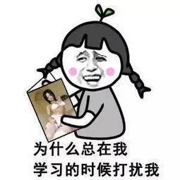 姿势你那些无节操表情包都出自这些人