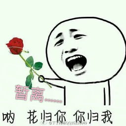 撩妹表情包下载王源