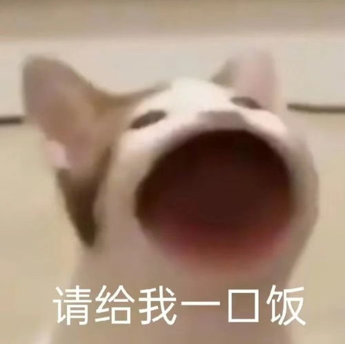 表情包我直接一个锤子警告