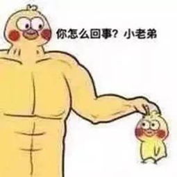 你怎么回事小老弟小黄鸭表情包大全高清无水印版