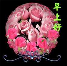3月朋友圈好看的早晨好祝福语图片动图早上好问候图片表情