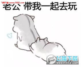 叫老公起床的表情包表情包