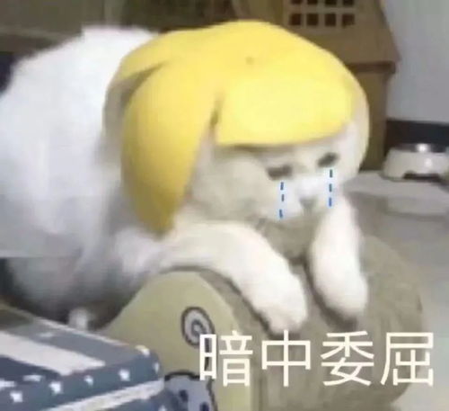来一波搞笑表情包