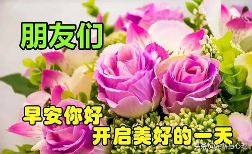 今日最新版早上好表情图片大全,天天各自忙,情谊放心上