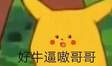 最励志的表情包韶乐
