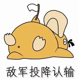 逆风跑者二215赢家