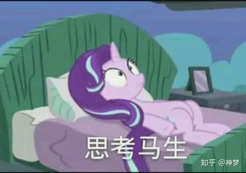 有哪些有趣的小马宝莉表情包