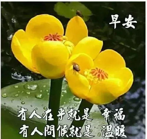2021年早上好表情包问候语