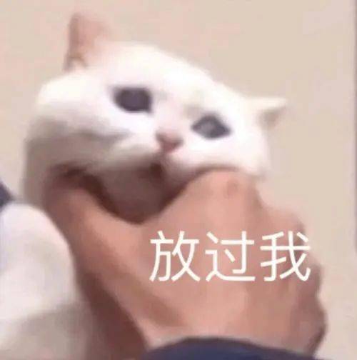 国美线上模拟校考今晚开启官方示例图竟悄悄透露了素描出题方向