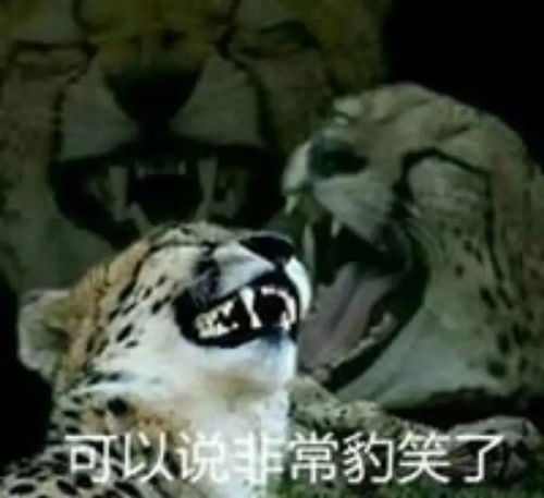 沙雕表情包斗图必备