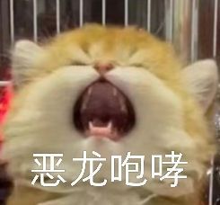 和对象聊天必备表情包第二弹