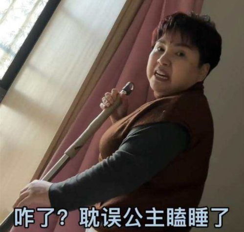起床表情包 掀被子罪状