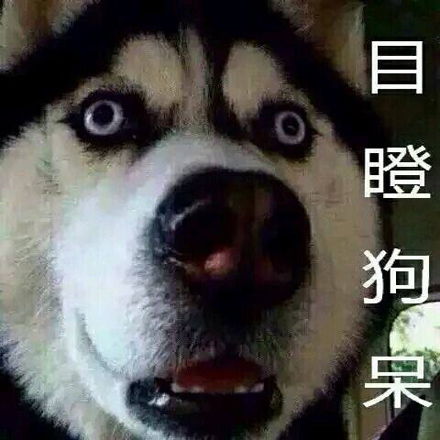 目瞪狗呆是什么梗目瞪狗呆意思出处含义介绍游戏吧
