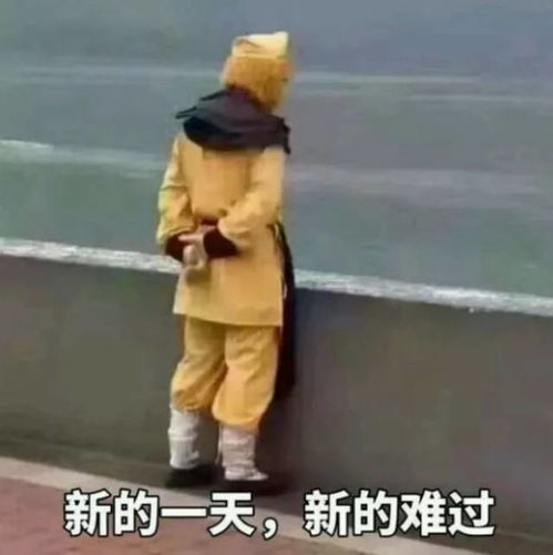 大圣国庆也得堵,各路神仙都无奈....山东多条高速双向临时关闭,返程司机快看看绕行路线