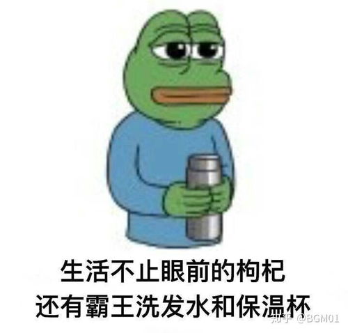 会动的超小表情包微信减肥