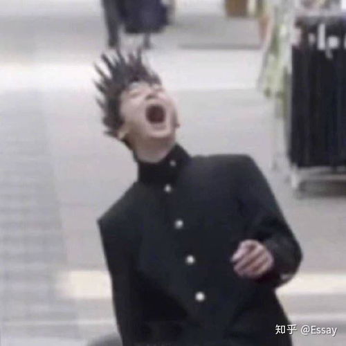 有什么沙雕下饭神剧