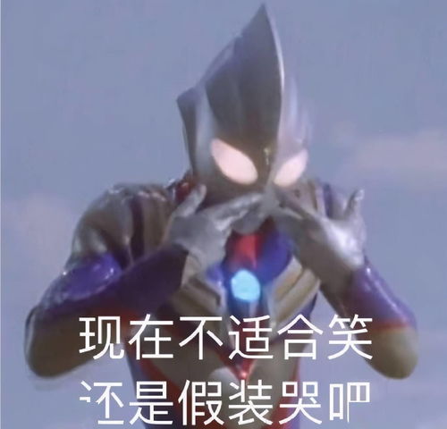 打工一年胖十斤,说我辛苦没人信