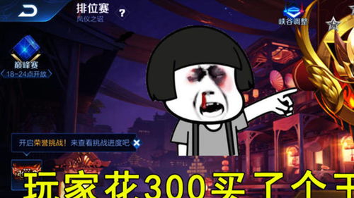 玩家花300买了个王者号,本以为稳赚,看到背包才知道血亏