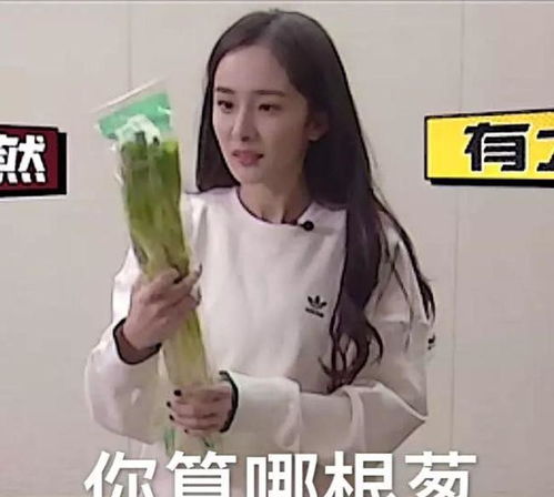 密室大逃脱杨幂叫小6岁邓伦邓老师,邓伦回应喊话幂幂