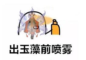 阴阳师搞笑表情包之周年庆的那些二三事