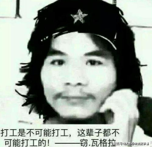 这辈子不可能打工是什么梗不可能打工周某为什么这么火
