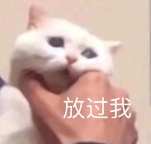 北辙南辕大结局南北姐妹花又遇人生新难题