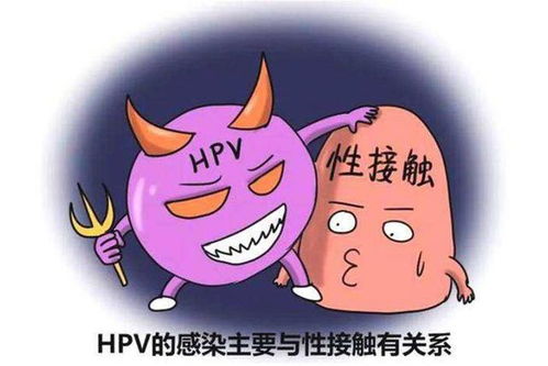 hpv疫苗全攻略,你想知道的都在这里