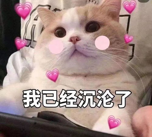最近流行的微信表情包打电话